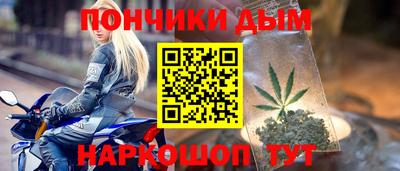 PSILOCYBIN Можга