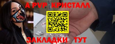 PSILOCYBIN Можга