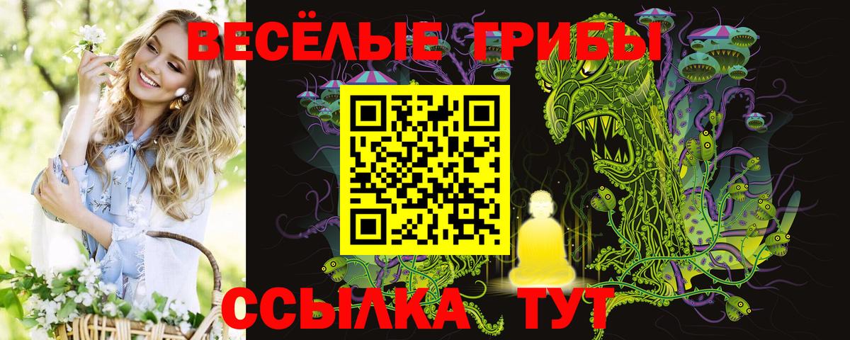 Галлюциногенные грибы Cubensis Волгоград