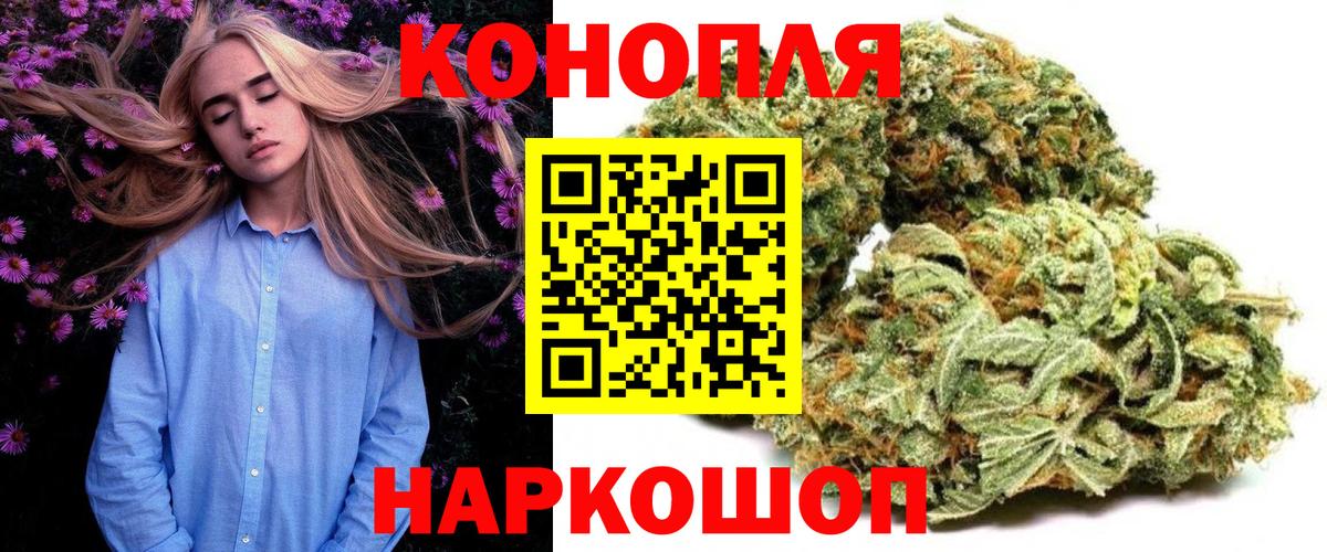 Марихуана сатива Волгоград